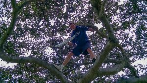 Climbing a tree