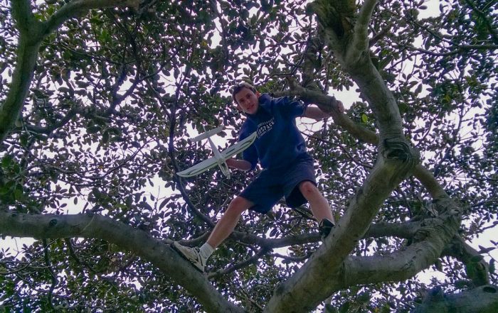 Climbing a tree
